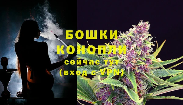 экстази Белокуриха