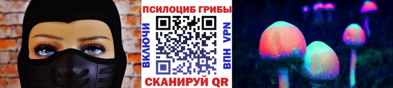 Псилоцибиновые грибы Psilocybe Дагестанские Огни