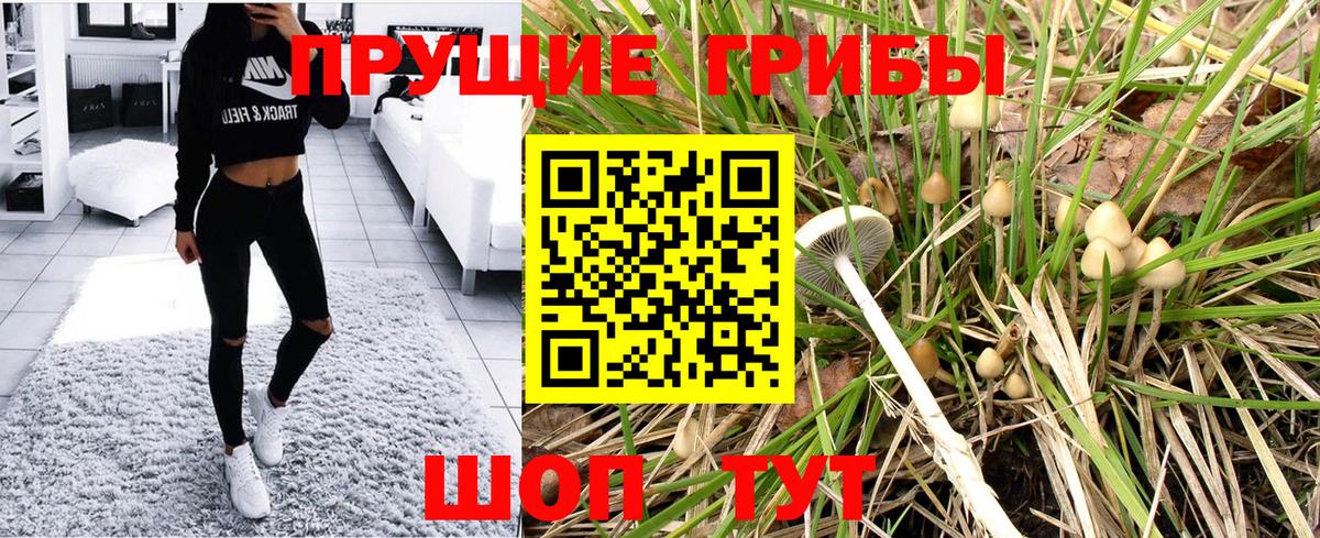 Дагестанские Огни  Псилоцибиновые грибы GOLDEN TEACHER  Вход с VPN 